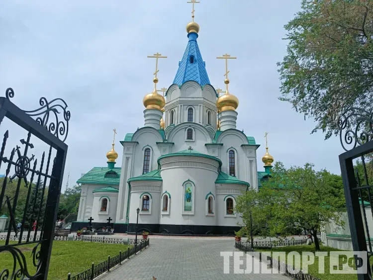 Что делать со старой вербой?